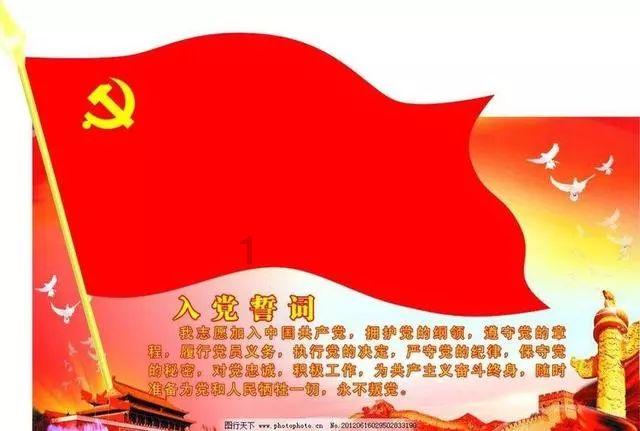 小猫钓鱼正版下载中文版